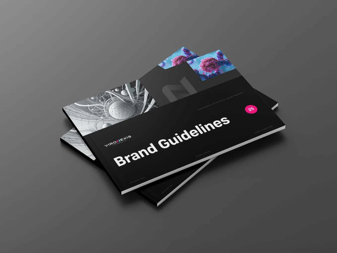 Vironexis brand guidelines booklet